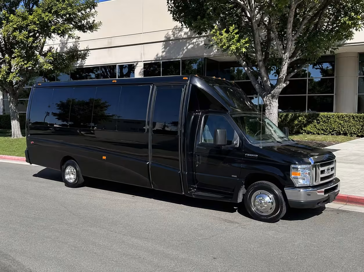 20 passenger party bus
