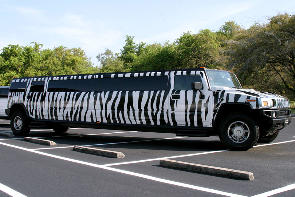 Zebra Hummer Limo Orlando